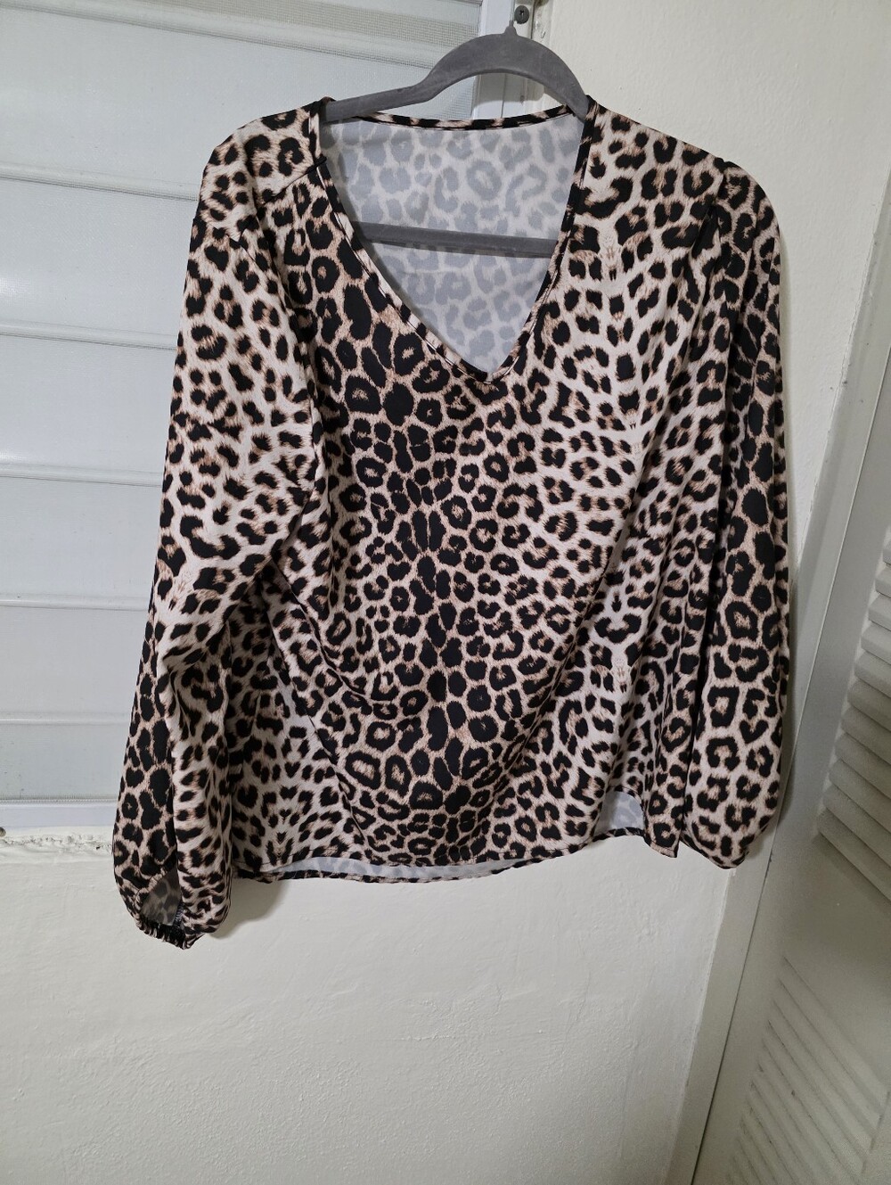 Women’s Leopard Print V-Neck Blouse - Beige and Black